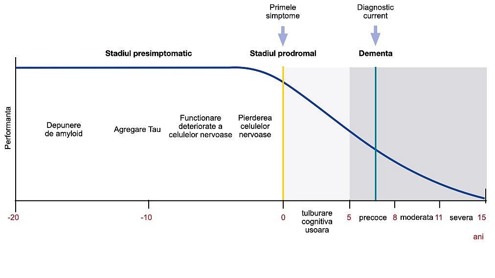Evoluția patologiei bolii Alzheimer în creier: O diagramă liniară arată că în boala Alzheimer, o etapă pre-simptomatică și o etapă prodromală preced stadiul de demență. Performanța cognitivă începe să scadă doar în stadiul prodromal.