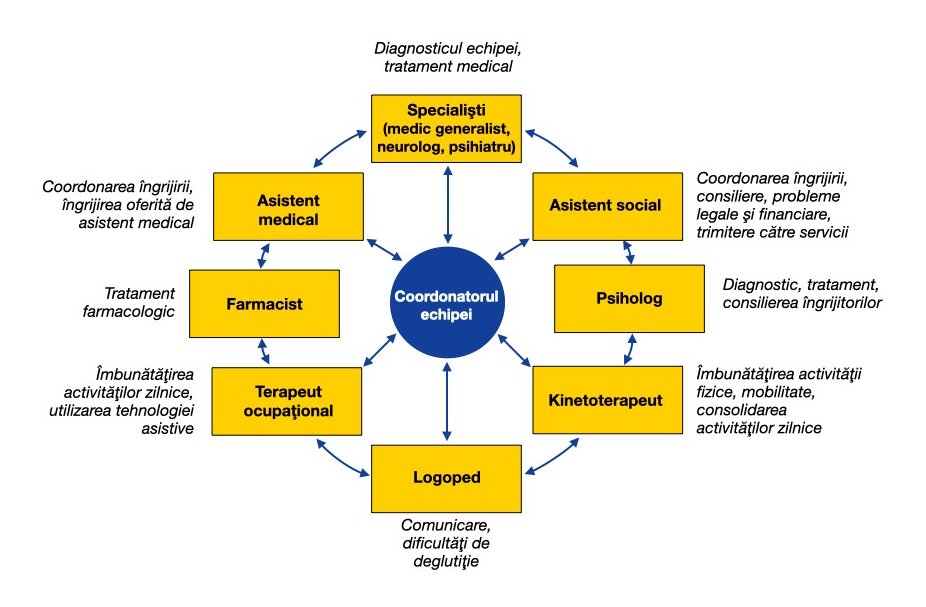  În centrul acestui model al unei rețele de colaborare interprofesională pentru îngrijirea demenței se află coordonatorul echipei. Această persoană este înconjurată și conectată bilateral cu grupuri profesionale, care sunt, la rândul lor, conectate bilateral. Medicul este responsabil pentru conducerea echipei, diagnostic și tratament medical. Asistentul social este responsabil pentru coordonarea îngrijirii, consiliere, probleme juridice și financiare și trimiterea la servicii. Psihologul este responsabil pentru diagnosticarea, tratamentul și consilierea îngrijitorilor. Fizioterapeutul este responsabil pentru îmbunătățirea capacității fizice, a mobilității și îmbunătățirea activităților zilnice. Logopedul este responsabil pentru comunicarea și dificultatea de înghițire. Terapeutul ocupațional este responsabil pentru îmbunătățirea activităților zilnice și utilizarea tehnologiei de asistență. Farmacistul este responsabil pentru tratamentul farmacologic. Asistenta medicală este responsabilă pentru coordonarea îngrijirii și îngrijirea medicală.