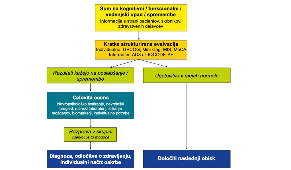 Postopek diagnoze demence: koraki do diagnoze demence so prikazani, kot je opisano v besedilu na tej strani.