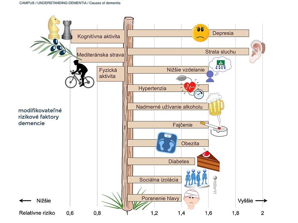 Modifikovateľné rizikové faktory demencie: Tento graf opisuje modifikovateľné rizikové faktory demencie. S nižším rizikom demencie sú spojené: Kognitívna aktivita, stredomorský štýl stravovania a fyzická aktivita. S vyšším rizikom demencie sú spojené: Depresia, strata sluchu, nízke vzdelanie, vysoký krvný tlak, nadmerné konzumovanie alkoholu, fajčenie, obezita, cukrovka, nízka sociálna aktivita a traumatické poškodenie mozgu.