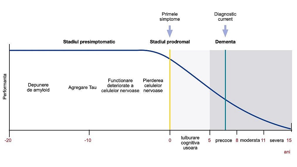 Etapele bolii Alzheimer: O diagramă liniară arată că în boala Alzheimer, o etapă pre-simptomatică (cu depunere de amiloid, agregare Tau, afectarea funcționării celulelor nervoase și pierderea celulelor nervoase) și o etapă prodromală preced stadiul de demență. Performanța cognitivă începe să scadă doar în stadiul prodromal. Linia descrescătoare descrie performanța pacientului.