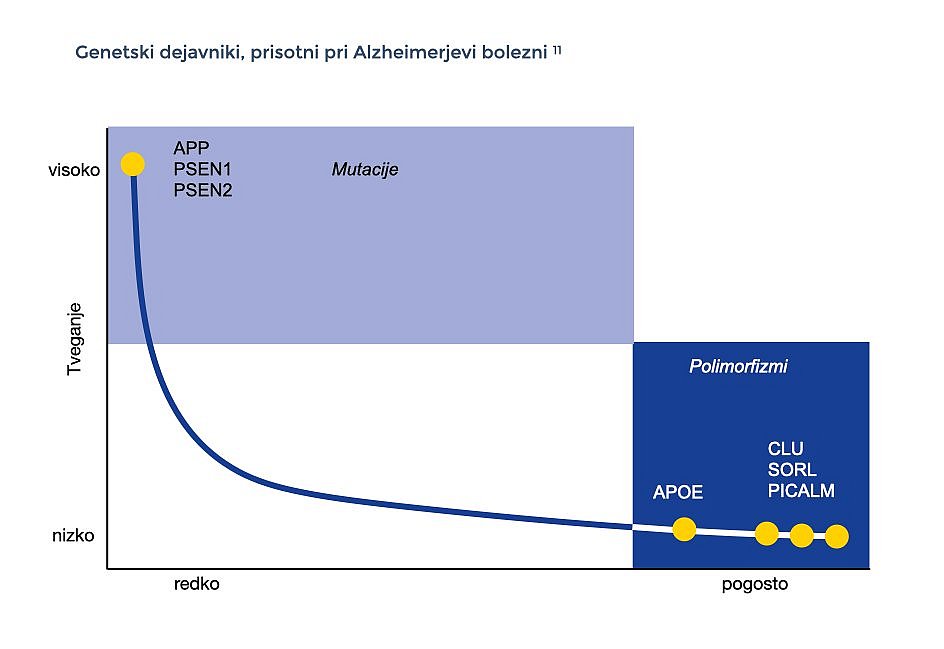 Diagram prikazuje dve obliki genetskih dejavnikov pri Alzheimerjevi bolezni. Mutacije so redke, vendar so povezane z velikim tveganjem za bolezni. Polimorfizmi so pogosti, vendar v posameznih primerih le malo povečajo tveganje za bolezen.