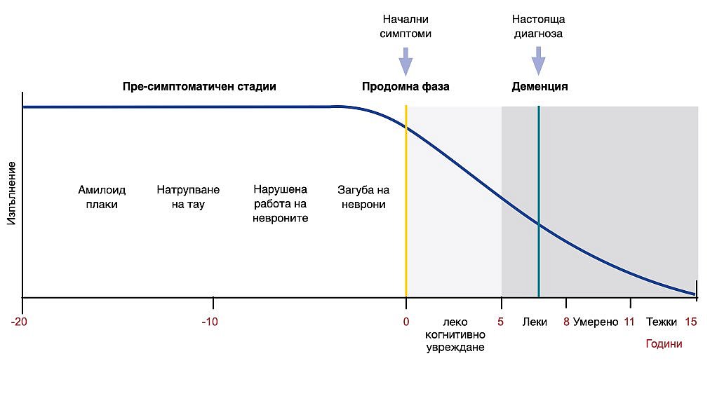 Стадии на болестта на Алцхаймер. Линейна диаграма, показваща стадиите при болестта на Алцхаймер: пресимптоматичен стадий (с натрупване на амилоидни плаки и струпвания на тау-протеини, нарушена функционалност на невроните и загуба на неврони) и продромен стадий, който предшества стадия на деменцията. Когнитивният спад започва през продромния стадий. Намаляващата линия показва нивото на справяне на човека.