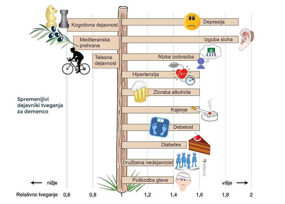 Spremenljivi dejavniki tveganja za demenco: ta graf prikazuje spremenljive dejavnike tveganja za demenco. Z manjšim tveganjem za demenco so povezani: kognitivna aktivnost, sredozemski način prehranjevanja in telesna aktivnost. Z večjim tveganjem za demenco so povezani: depresija, izguba sluha, nizka izobrazba, visok krvni tlak, zloraba alkohola, kajenje, debelost, sladkorna bolezen, nizka socialna aktivnost in travmatska poškodba možganov.