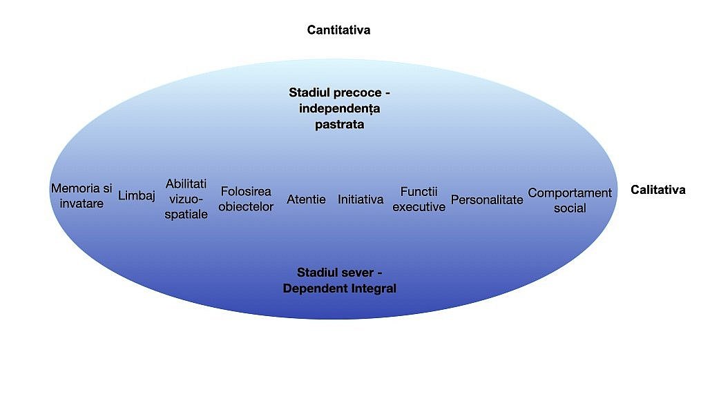 Spectrul calitativ și cantitativ al simptomelor de demență: Ilustrația prezintă simptome, care pot fi ușoare, astfel încât independența este păstrată sau severe, în cazul în care persoana este complet dependentă: memoria și învățarea, limbajul, capacitatea vizuo-spațială, utilizarea obiectelor, atenția, inițiativa, funcțiile executive, personalitatea și comportamentul social.