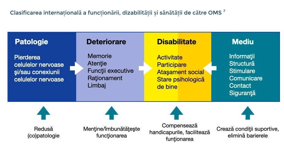 Clasificarea internațională a funcționării, dizabilității și sănătății OMS: Patologie (pierderea celulelor nervoase și / sau a conexiunilor celulelor nervoase): reduce (co-)patologia - Afectare (memorie, atenție, funcții executive, raționament, lângă: menținerea, îmbunătățirea funcției - Dizabilitate (activitate, participare, incluziune socială, bunăstare psihologică): compensează handicapurile, facilitează funcționarea - Mediu (informații, structură, contact, comunicare, îndrumare, siguranță): creați sprijin condiții, eliminarea barierelor.