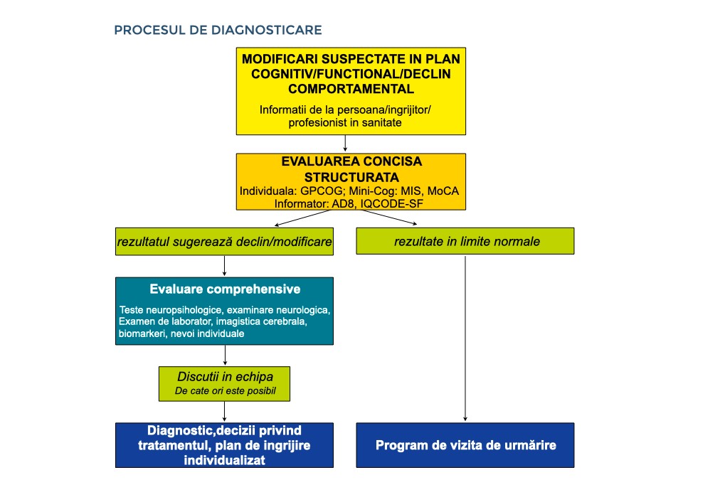 Procesul de diagnosticare a demenței: pașii pentru un diagnostic de demență sunt ilustrați așa cum este descris în textul de pe această pagină.