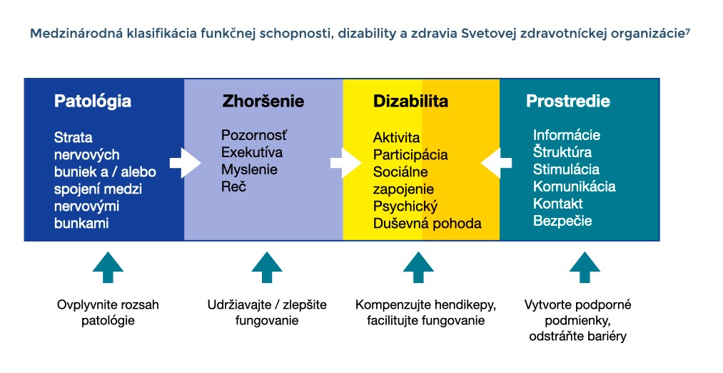 Medzinárodná klasifikácia funkčnej schopnosti, zdravotného postihnutia a zdravia WHO: Patológia (strata nervových buniek a/alebo spojení nervových buniek): znížiť (ko)patológiu - Porucha (pamäť, pozornosť, exekutívne funkcie, logické myslenie, rečový prejav): udržať, zlepšiť funkciu - Postihnutie (aktivita, účasť, sociálne začlenenie, psychická pohoda): kompenzovať hendikep, uľahčiť fungovanie - Prostredie (informácie, štruktúra, kontakt, komunikácia, vedenie, bezpečnosť): vytvoriť podporné podmienky, odstrániť bariéry.