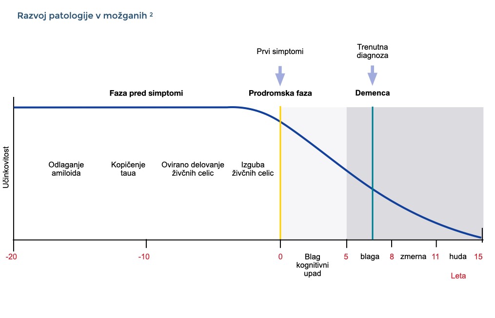 Razvoj patologije Alzheimerjeve bolezni v možganih: črtni diagram kaže, da sta pri Alzheimerjevi bolezni predsimptomatska in prodromalna stopnja pred stopnjo demence. Kognitivna zmogljivost začne upadati šele v prodromalni fazi.